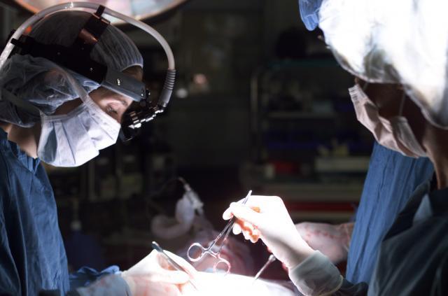 Tri decenije od prve transplantacije bubrega u Novom Sadu